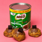 Milo Mudcake
